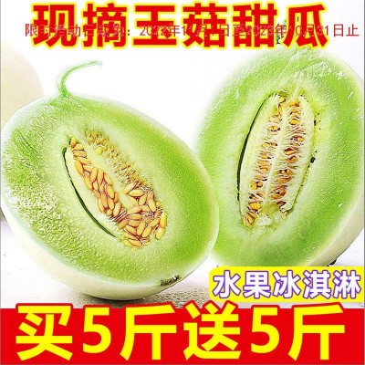 玉菇蜜瓜10斤新鲜水果批发当季海南玉茹甜瓜哈脆香瓜密瓜2/5斤图4