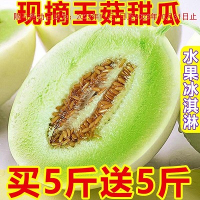 玉菇蜜瓜10斤新鲜水果批发当季海南玉茹甜瓜哈脆香瓜密瓜2/5斤图5