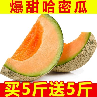爆甜海南哈密瓜10斤新鲜水果一箱批发网纹瓜甜瓜非新疆蜜瓜1/5斤图1
