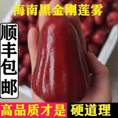海南黑金刚莲雾新鲜水果5斤热带莲雾果水果仙女果1斤批发图3