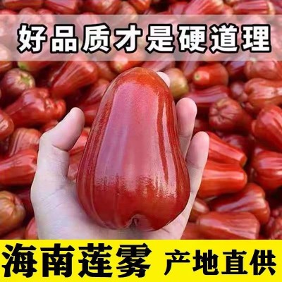 海南黑金刚莲雾新鲜水果5斤热带莲雾果水果仙女果1斤批发图2