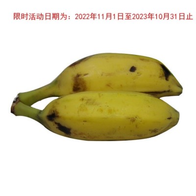 广东芭蕉大蕉高蕉plantain新鲜水果无催熟剂香蕉3/5斤单果80-300g图4
