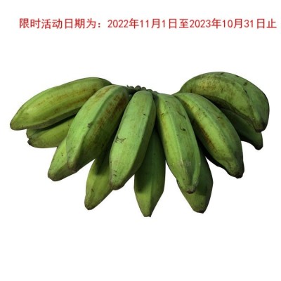 广东芭蕉大蕉高蕉plantain新鲜水果无催熟剂香蕉3/5斤单果80-300g图2