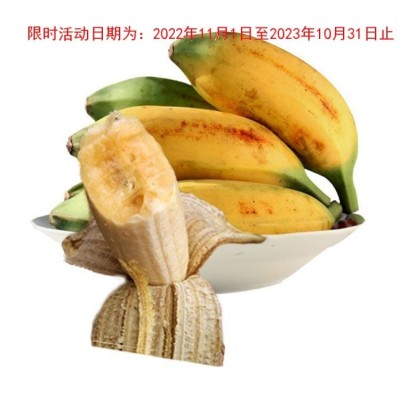 广东芭蕉大蕉高蕉plantain新鲜水果无催熟剂香蕉3/5斤单果80-300g图5