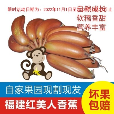 新鲜红皮香蕉漳州土楼美人蕉应季水果非芭蕉米蕉1/3/5斤图3