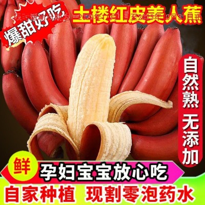 【土楼特产】红皮香蕉 农家现割新鲜水果红香蕉批发价红蕉小米蕉图2