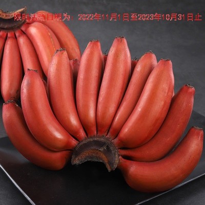 【土楼特产】红皮香蕉 农家现割新鲜水果红香蕉批发价红蕉小米蕉图3