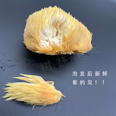 【自有工厂】古田猴头菇500g新鲜干货散装猴菇大量批发食用菌批发图2