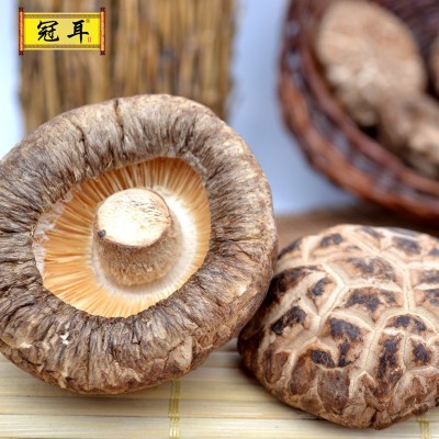 福建古田花菇香菇农家土特产椴木大花菇250g新货 产地菌菇干货批图3
