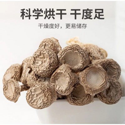 鹿茸菇干货厂家直供新鲜脆嫩食用菌干货酒店煲汤食材厂家批发加工图3