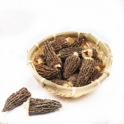厂家直销湖南出口湘蕈羊肚菌M干货批发羊肚菜剪脚羊蘑10kg整箱散图5