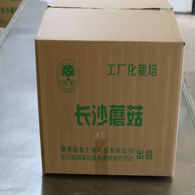 厂家直销湖南出口湘蕈羊肚菌M干货批发羊肚菜剪脚羊蘑10kg整箱散图4