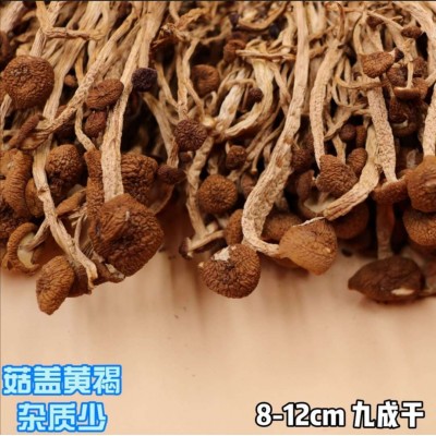 厂家直供湖南湘蕈茶树菇干货批发未开伞出口食用菌8kg整箱散货图3