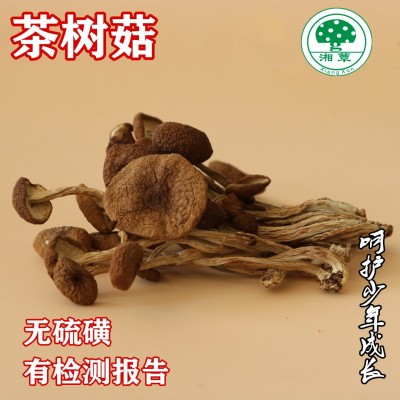 厂家直供湖南湘蕈茶树菇干货批发未开伞出口食用菌8kg整箱散货图2