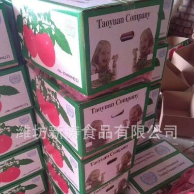 保鲜西红柿出口潍坊新涛食品（资质工厂、常年加工）图5