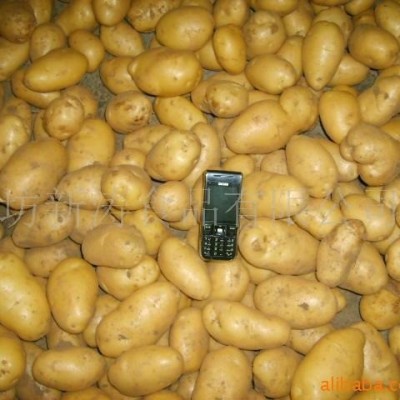 保鲜土豆潍坊新涛食品（基地种植、厂家直供）图3