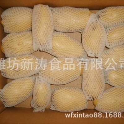 保鲜土豆潍坊新涛食品（基地种植、厂家直供）图5
