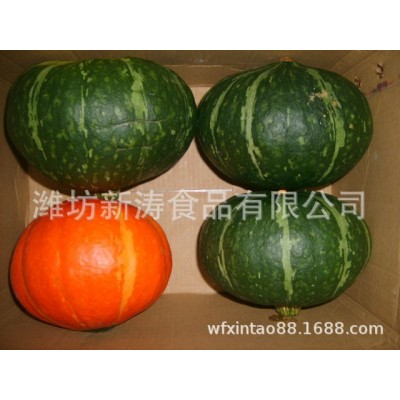 保鲜南瓜出口台湾潍坊新涛食品（基地种植、厂家直供）图4