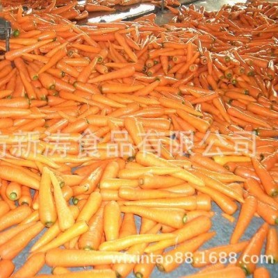 保鲜胡萝卜（出口）潍坊新涛食品（基地种植、厂家直供）图4