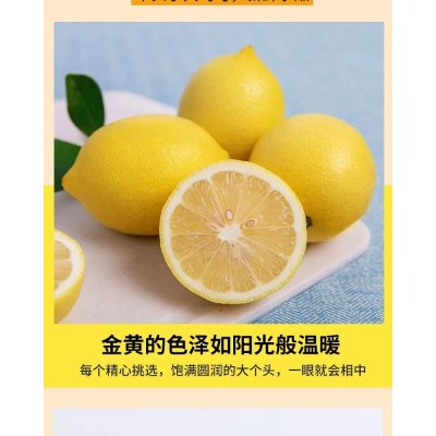 产地直供四川安岳黄柠檬新鲜整箱当季水果精选皮薄甜多汁柠檬图4