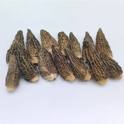 羊肚菌干货3-5CM食用菌煲汤食材蘑菇干商用家用菌菇干货批发图2
