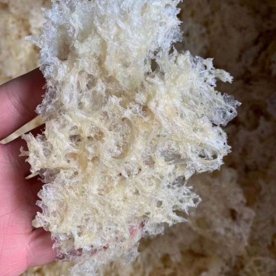 云南厂家本草银耳免煮即食银耳 免洗现货批发源头厂家直销图3