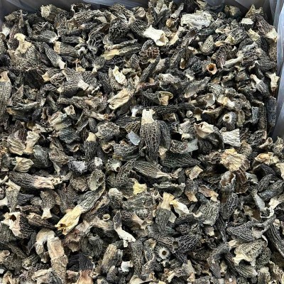 宝林堂 干羊肚菌碎500克装羊肚菌厚肉煲汤 滋补羊肚菌干货批发图3