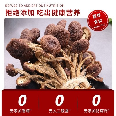 福建古田干茶树菇不开伞干货菌菇500g袋装茶薪菇食用菌菇产地批发图3