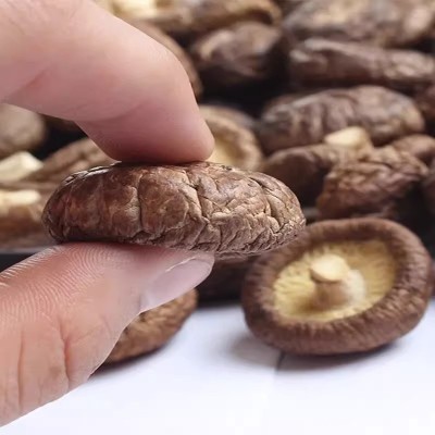 产地直发福建香菇干货批发 黑面小香菇 散装500g剪根干净量大从优图4