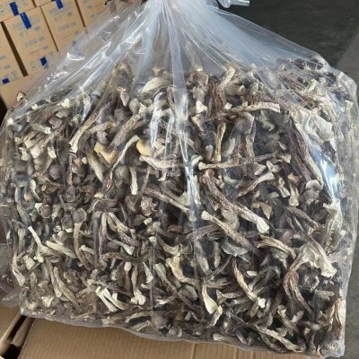 厂家直供福建鹿茸菇散装批发 鹿茸菌干货500g 食用菌酒店食材批发图3
