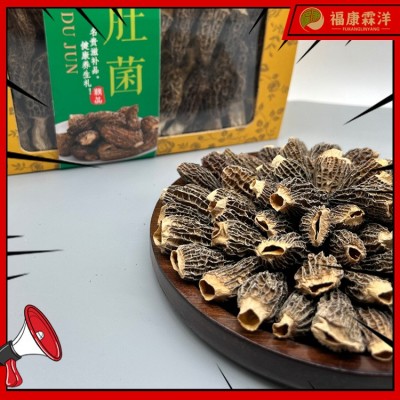 【产地直供】全剪丙羊肚菌3-5规格大量现货可做供应链直播图3
