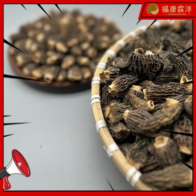 【产地直供】全剪丙羊肚菌3-5规格大量现货可做供应链直播图4