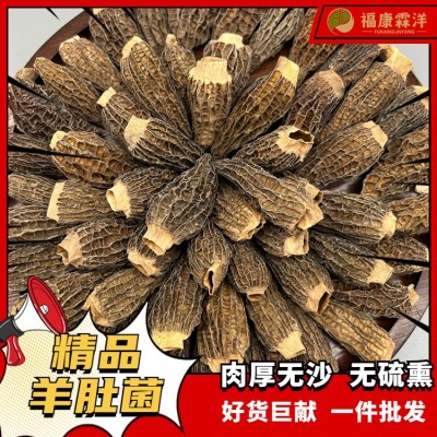 【产地直供】全剪丙羊肚菌3-5规格大量现货可做供应链直播图2