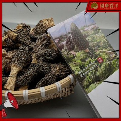 【高原羊肚菌】3-5规格甘孜高原货大量现货产地批发可做供应链图2