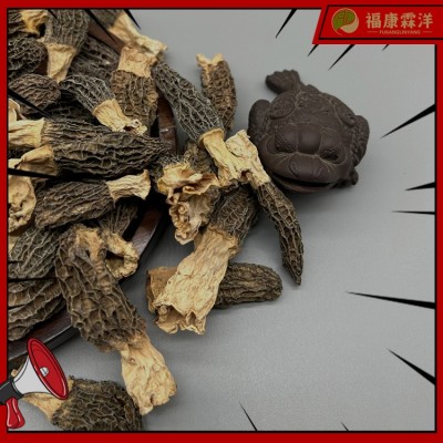 【高原羊肚菌】3-5规格甘孜高原货大量现货产地批发可做供应链图4