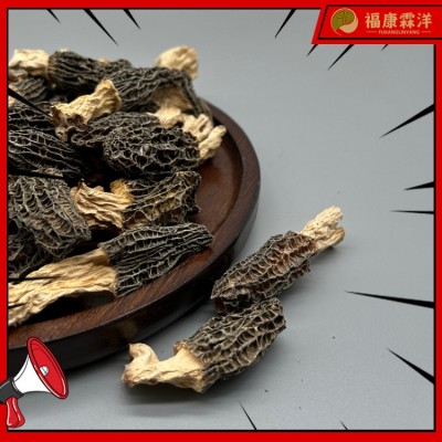 【高原羊肚菌】3-5规格甘孜高原货大量现货产地批发可做供应链图3