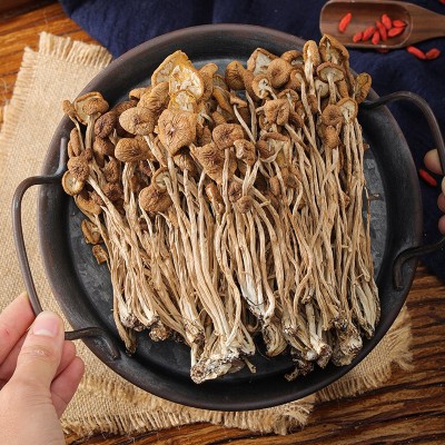 新货不开伞茶树菇干货批发 古田茶薪菇一手货源产地直发 2包图3