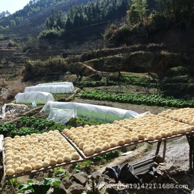 无硫古田猴头菇干猴头菇古田特产磨粉原料批发产地食用菌500g 2斤图3