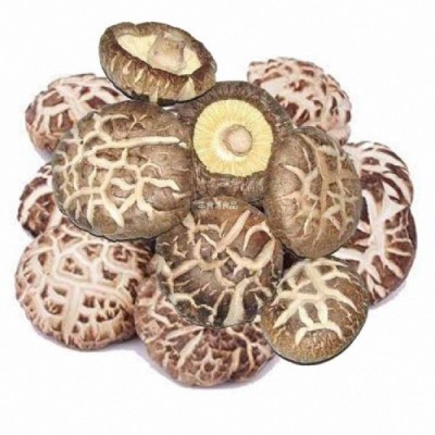 香菇（茶花）Mushroom（Camellia）1000g 2袋图3
