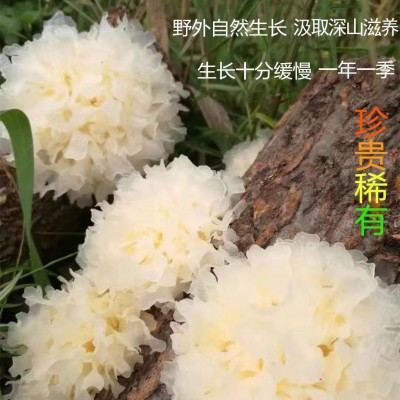 干货 银耳90g 干货深山 椴木生长银耳 汤白木耳 煲汤食材 5件图2