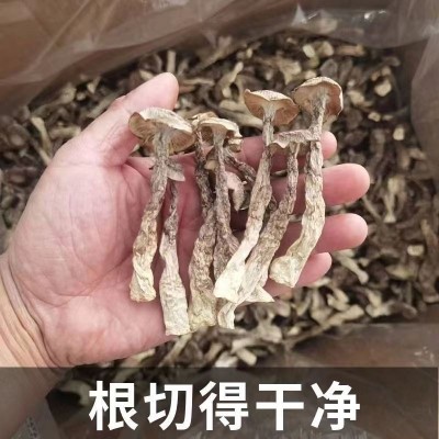 厂家批发 鹿茸菇150g装食用菌菇 煲汤菇干货食材现货一手货源 2件图4