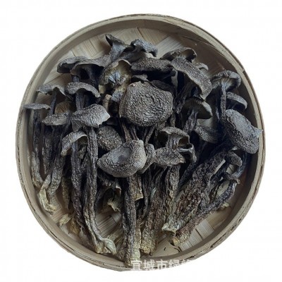 厂家批发 鹿茸菇150g装食用菌菇 煲汤菇干货食材现货一手货源 2件图5