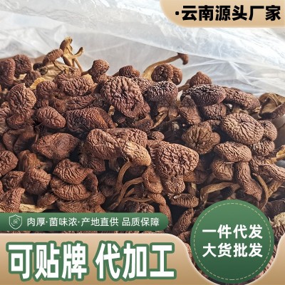 云南特产农家茶树菇干货无硫不开伞茶新菇非特级香菇蘑菇特产菌类 1件图2