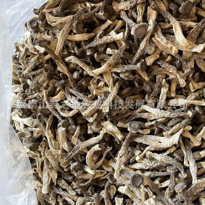 鹿茸菇干货厂家鹿茸菌脆脆菇云南特产品甄选整箱代发批发煲汤菌菇 1件图3