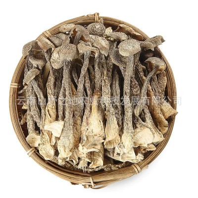 鹿茸菇干货厂家鹿茸菌脆脆菇云南特产品甄选整箱代发批发煲汤菌菇 1件图5