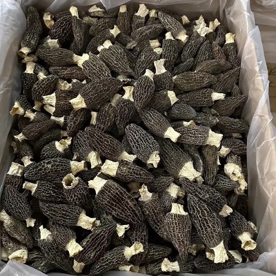 羊肚菌干货云南原产地批发价便宜羊肚菌干菌一件代发规格齐全批发 1件图4