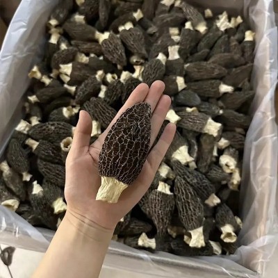 羊肚菌干货云南原产地批发价便宜羊肚菌干菌一件代发规格齐全批发 1件图3