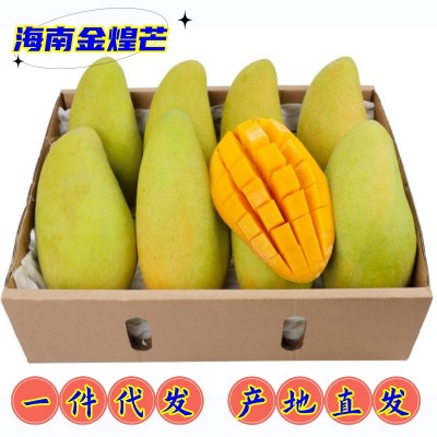 现货 电商一件代发海南金煌芒芒果当季时令热带现摘水果9斤装图1