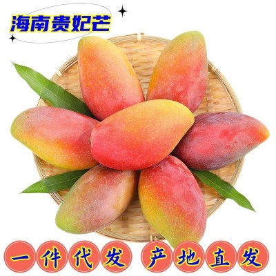 现货 电商一件代发海南贵妃芒芒果小金龙热带时令新鲜现摘水果9斤图1