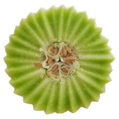 5斤起发 冰激凌玉菇甜瓜白皮绿肉沙甜绵蜜汁超多鲜货速发一件代发图5